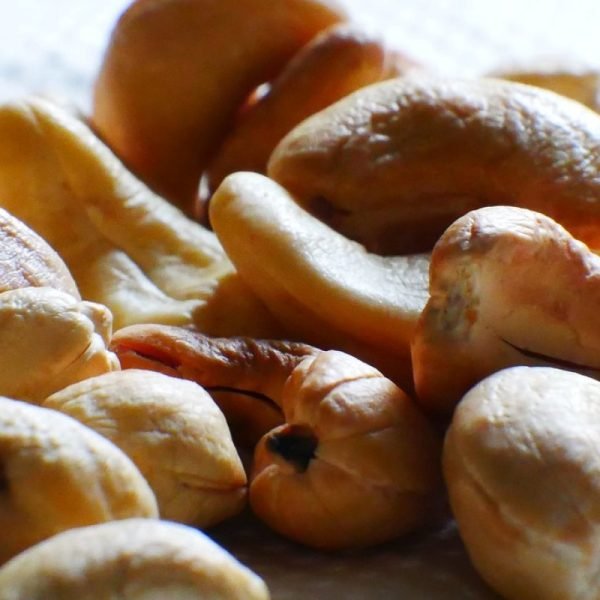 Cashew