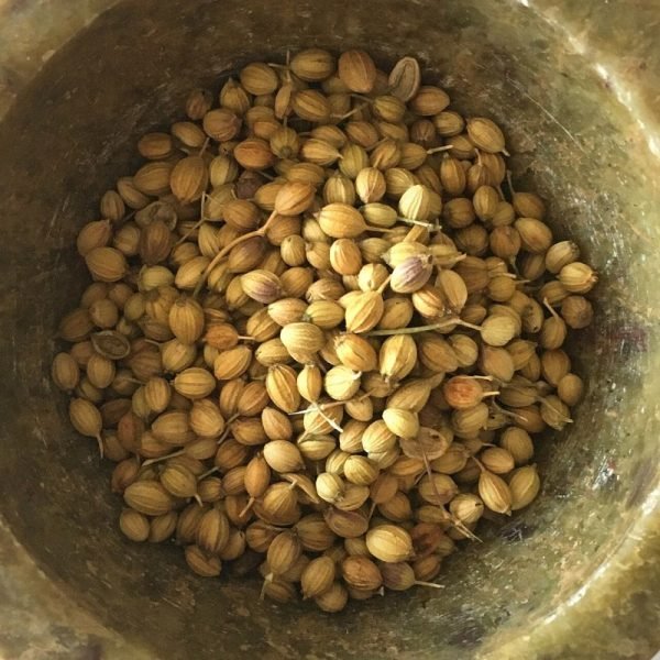 Coriander