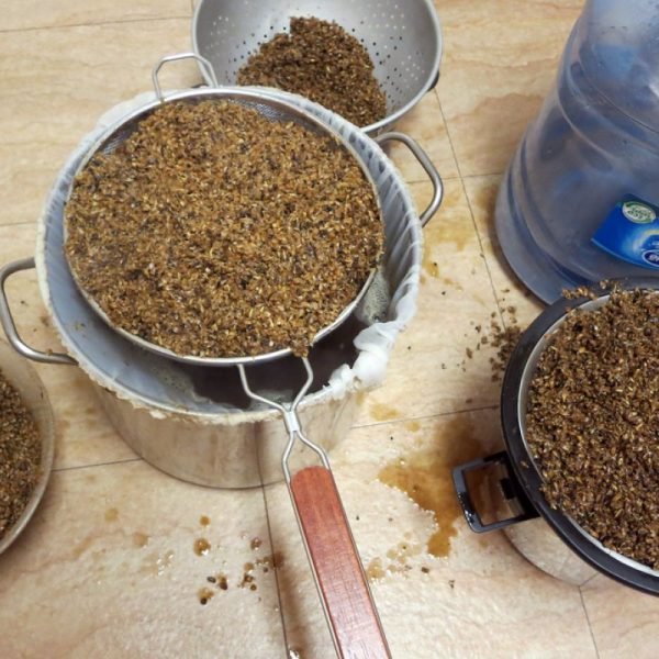 Cumin