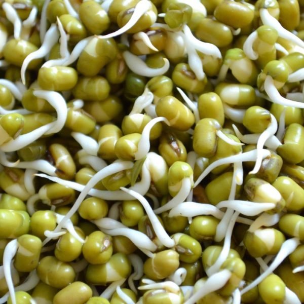 Green Moong