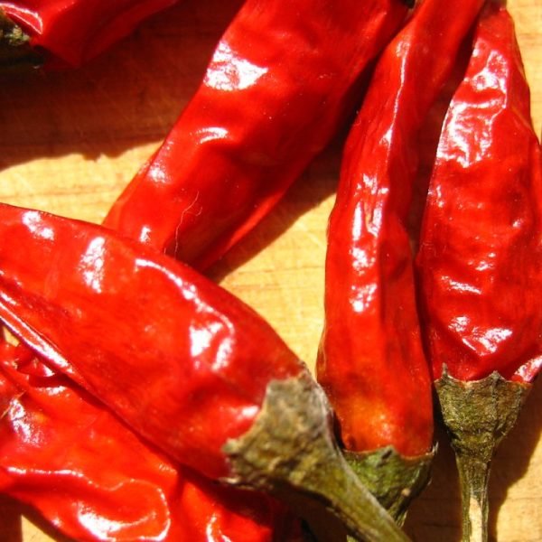 Red Chilli
